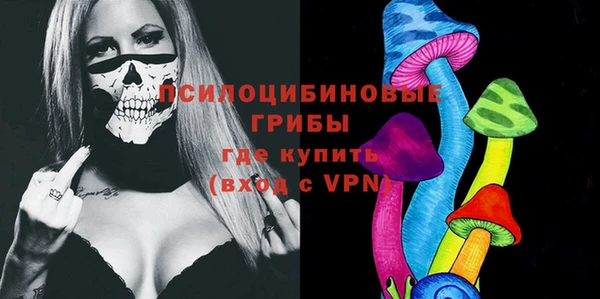 дживик Магас