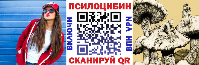 Купить где  Урус-Мартан  Галлюциногенные грибы GOLDEN TEACHER 